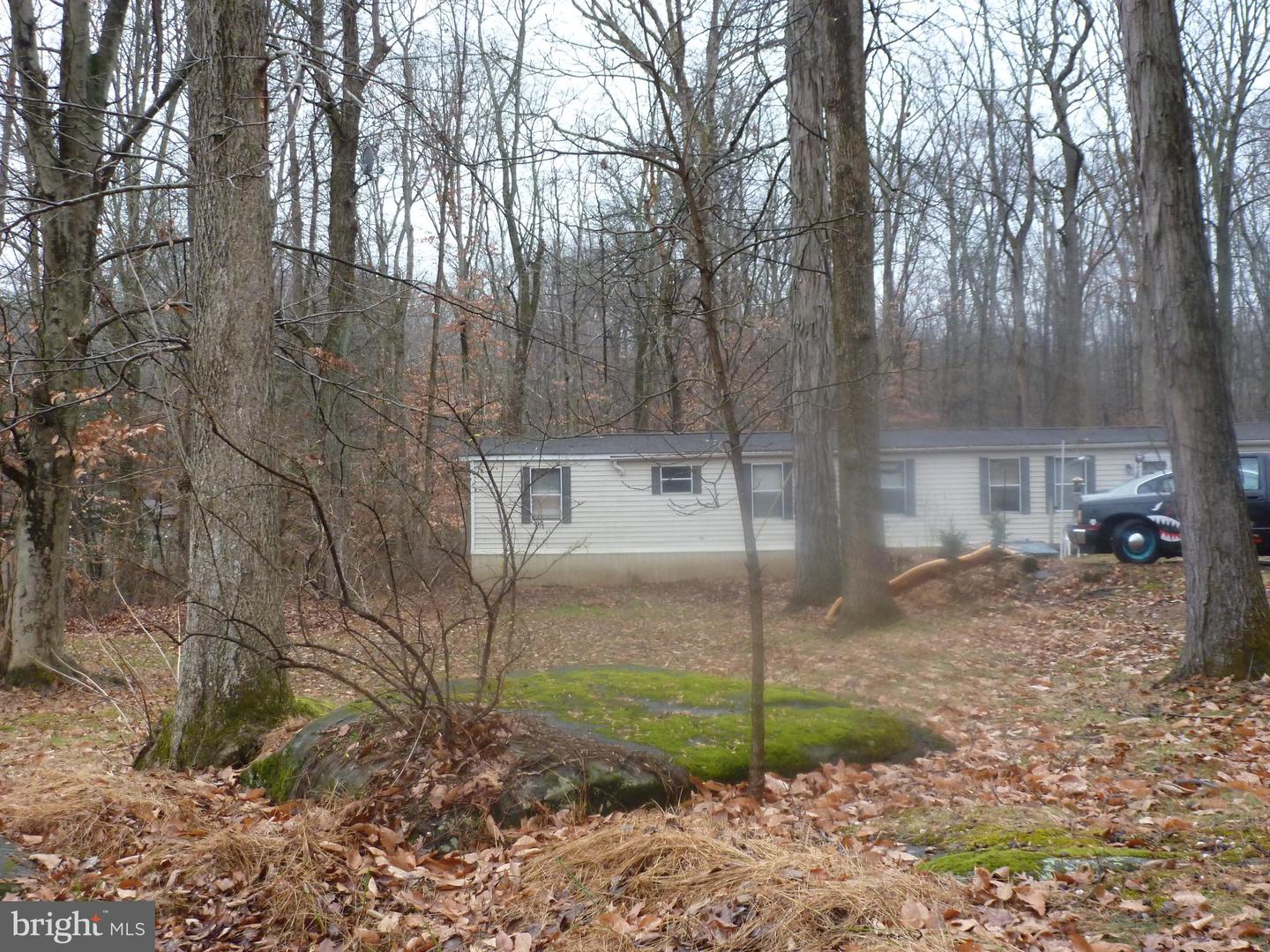 4503 Axe Handle Rd Property Photo 3