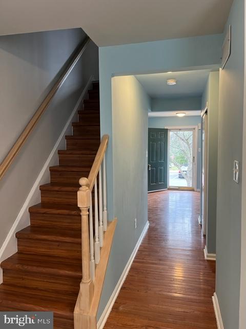 3979 Captain Molly Cir #ain Property Photo 4