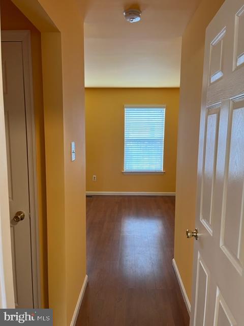 3979 Captain Molly Cir #ain Property Photo 10