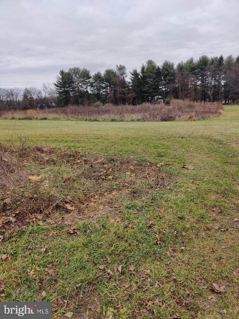 5087 Lower Mountain Rd Property Photo 2