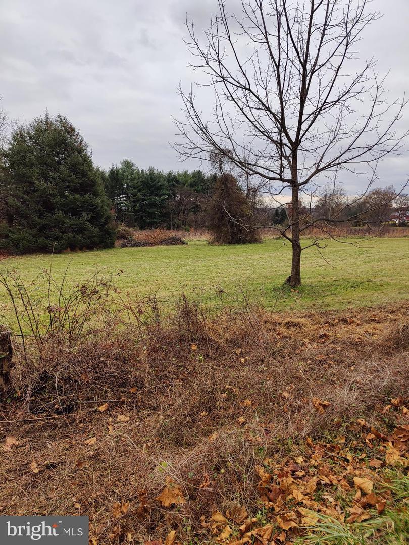 5087 Lower Mountain Rd Property Photo 4