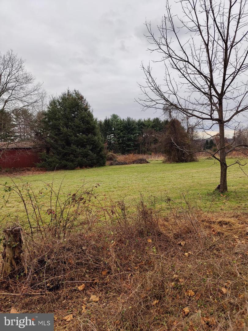 5087 Lower Mountain Rd Property Photo 7