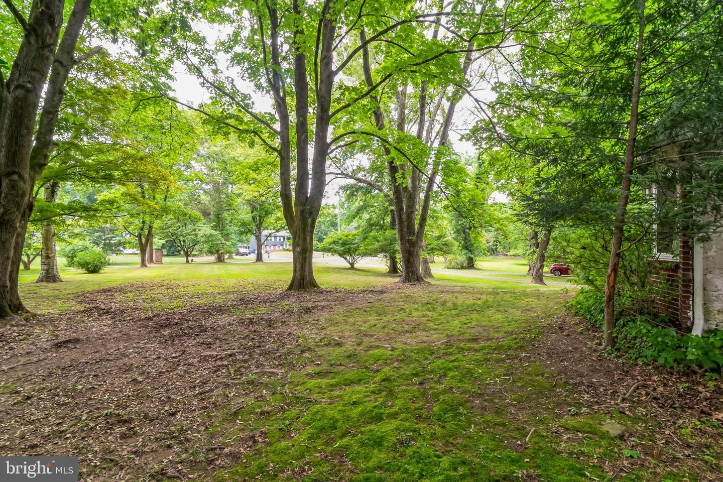 1155 Mount Eyre Rd Property Photo 7