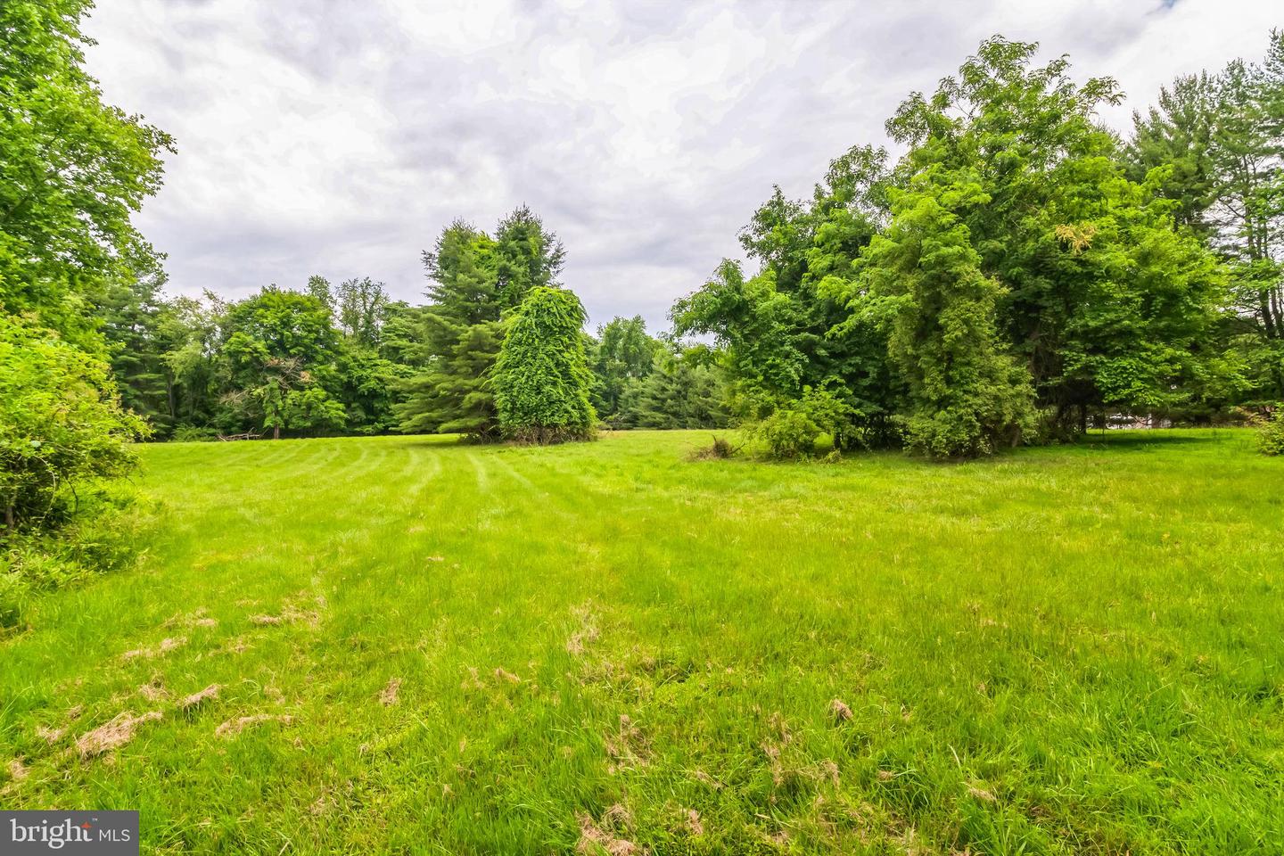 1155 Mount Eyre Rd Property Photo 11