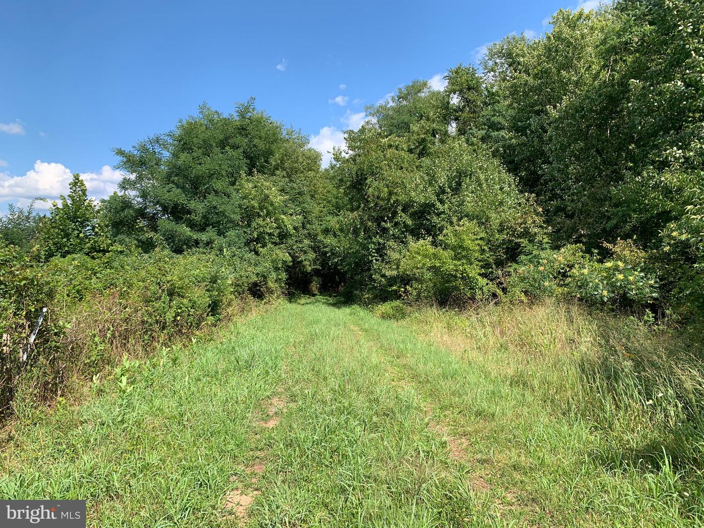 Lot 021-003 W M-y Ln W Property Photo 3