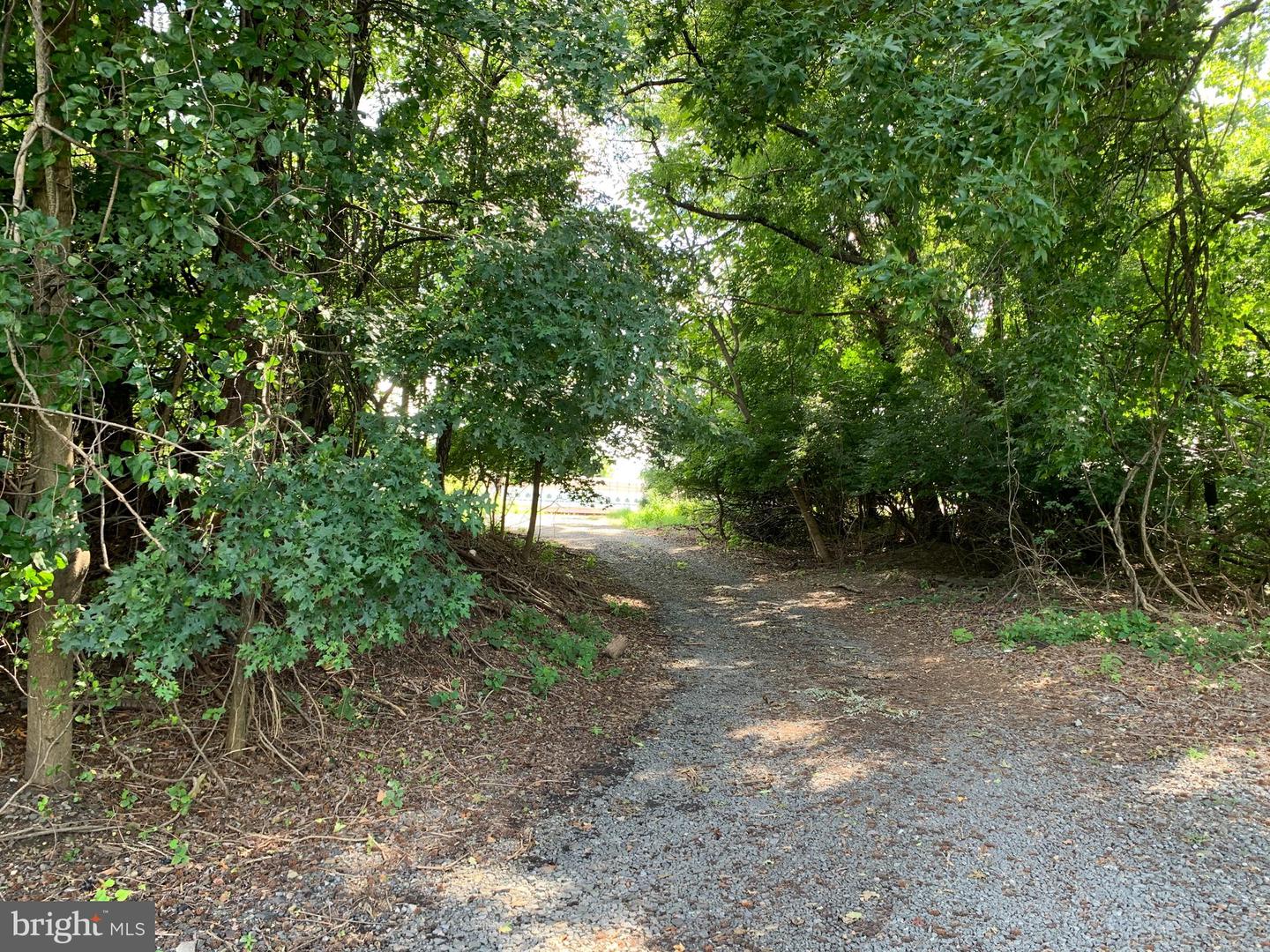 Lot 021-003 W M-y Ln W Property Photo 5