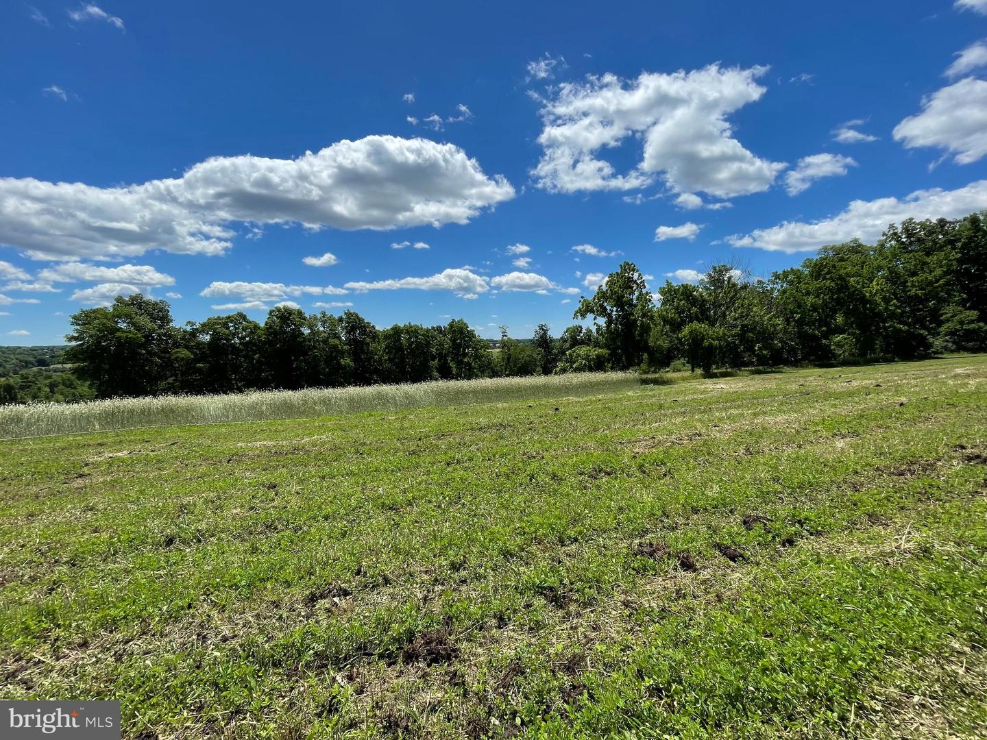 4099 Curly Hill Rd Property Photo 18
