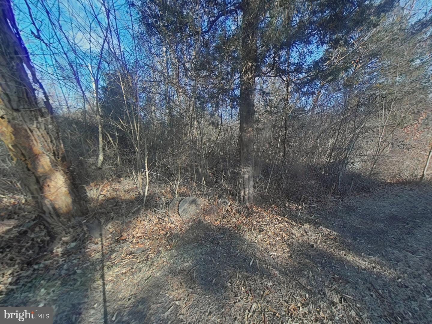 2103 Old Bethlehem Pike Property Photo 8