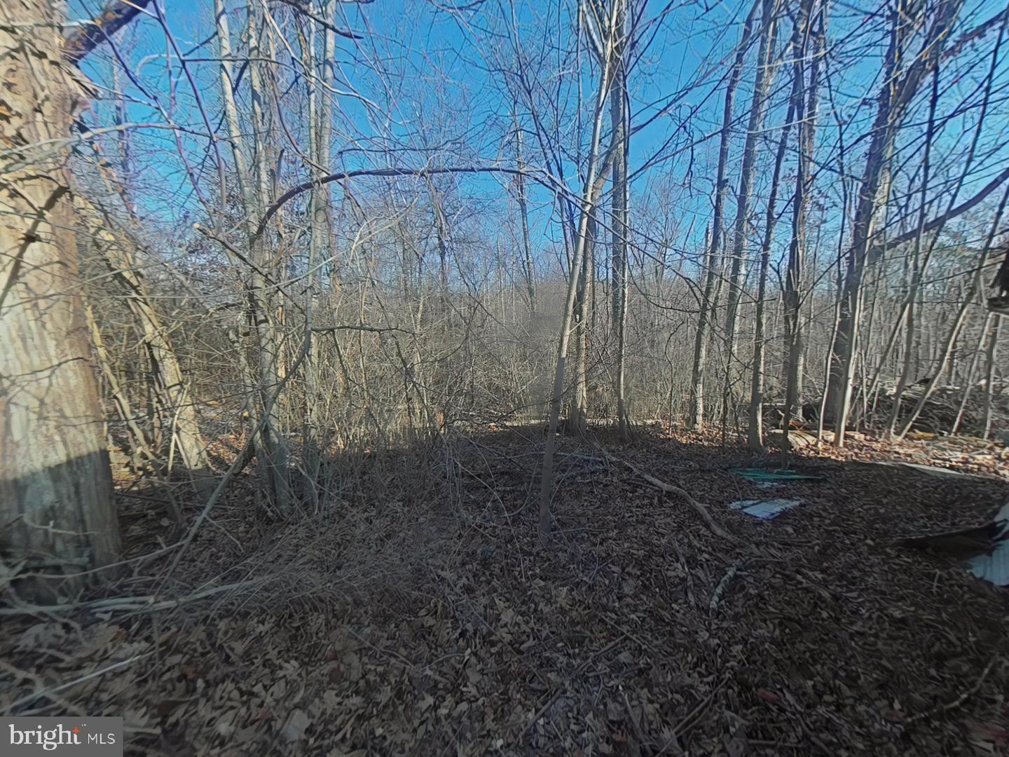 2103 Old Bethlehem Pike Property Photo 11