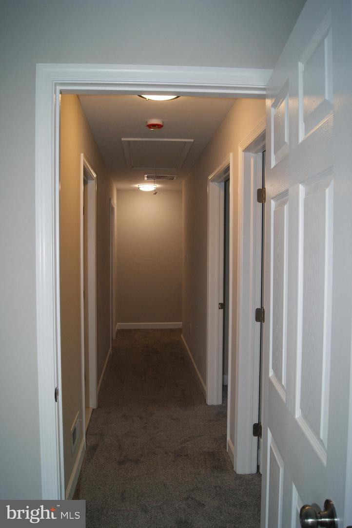 3702 Nichol St Property Photo 68