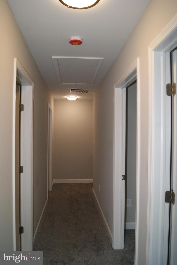 3702 Nichol St Property Photo 69