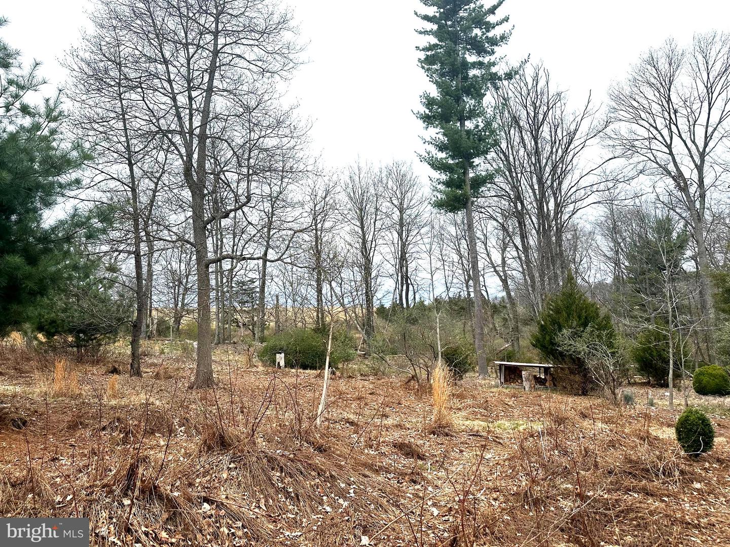 565 Cafferty Rd Property Photo 15