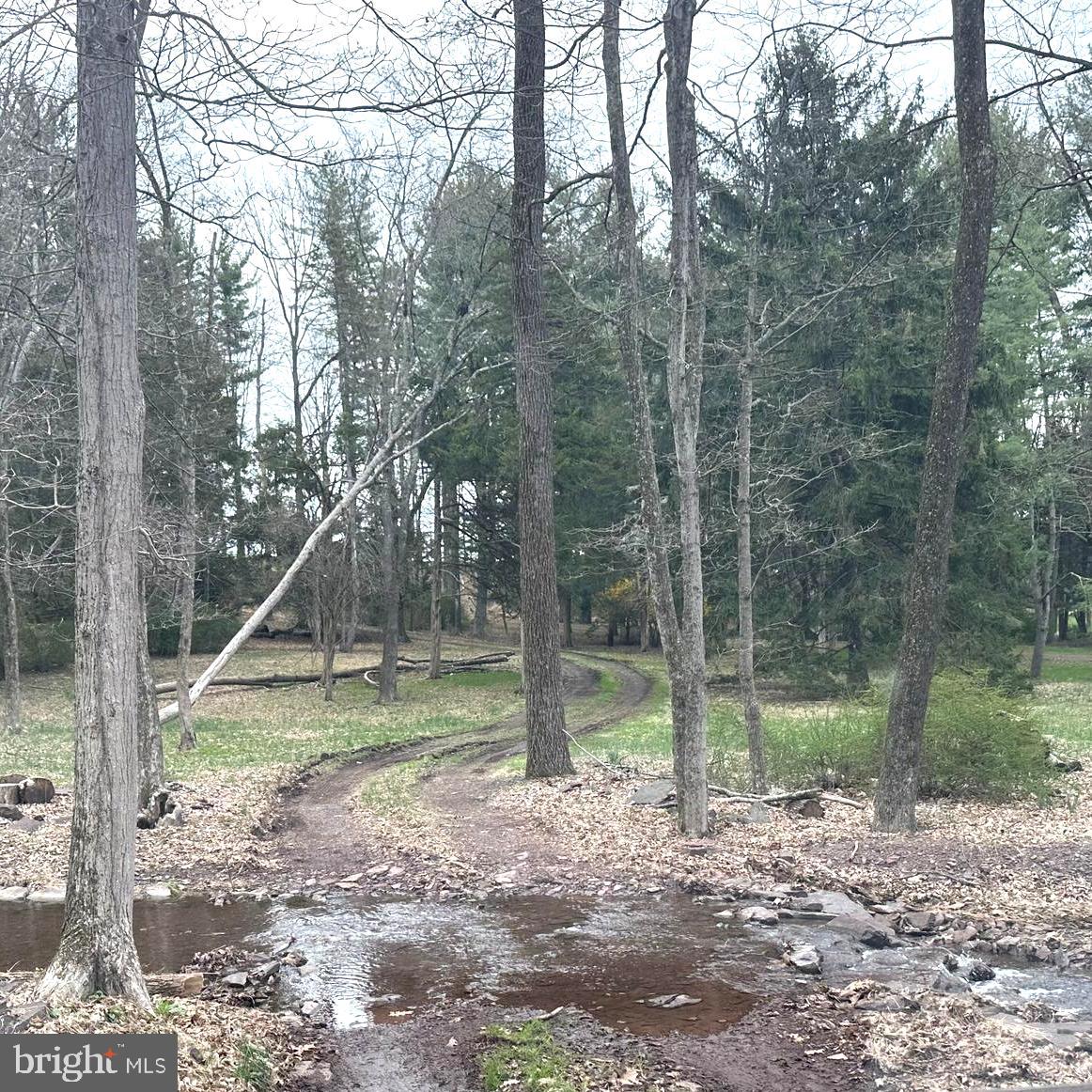 565 Cafferty Rd Property Photo 16