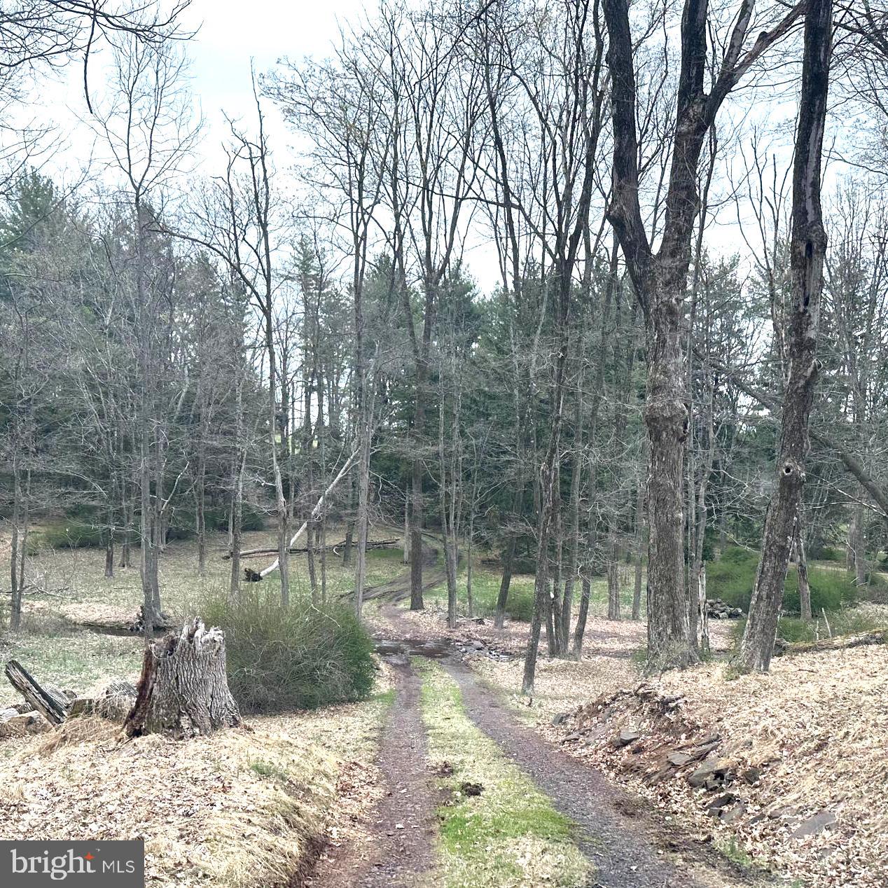 565 Cafferty Rd Property Photo 17