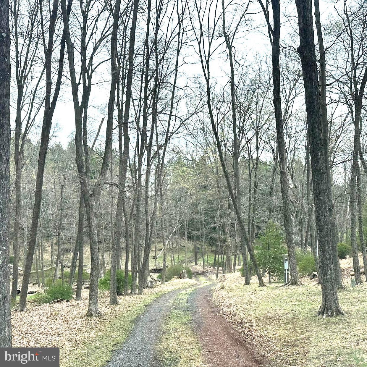 565 Cafferty Rd Property Photo 18