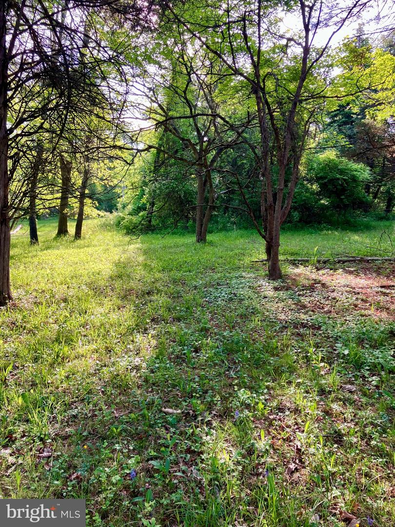 3159 Bristol Rd Property Photo 17