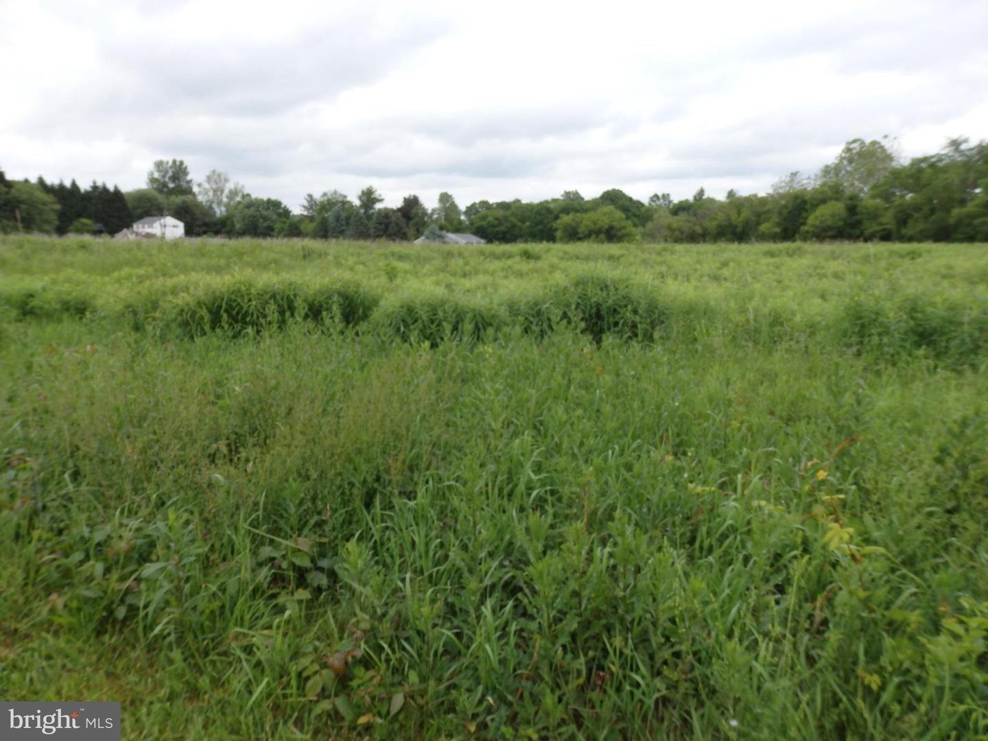 Lot 135-003 Trolley Bridge Rd Property Photo 2
