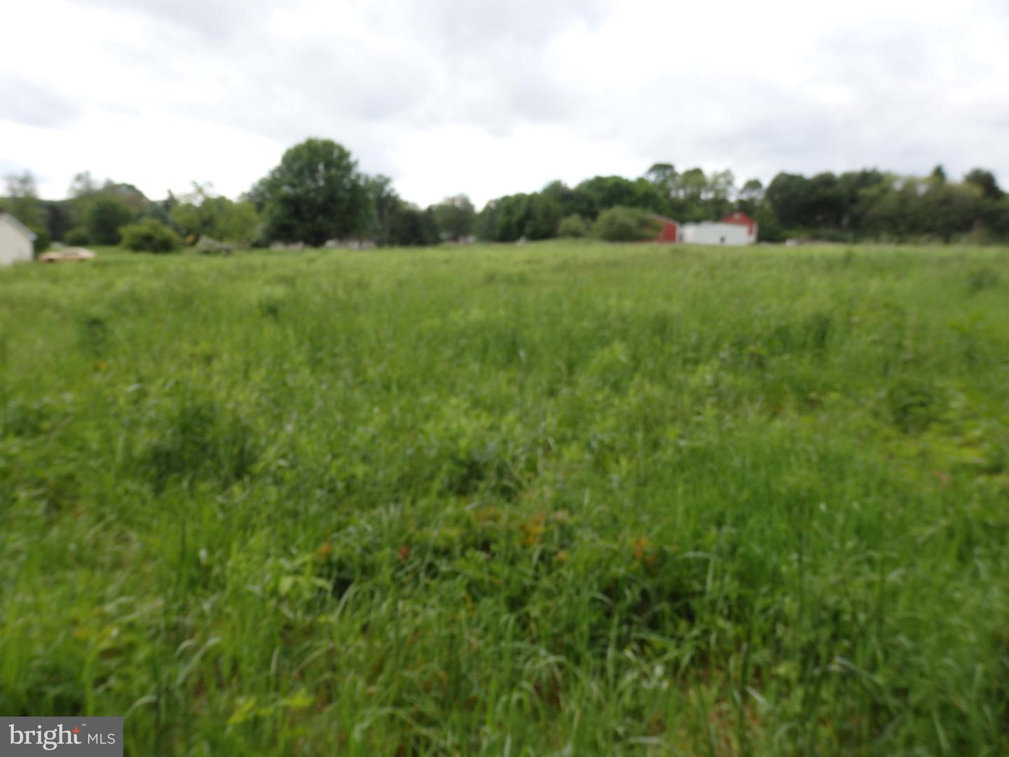 Lot 135-003 Trolley Bridge Rd Property Photo 3