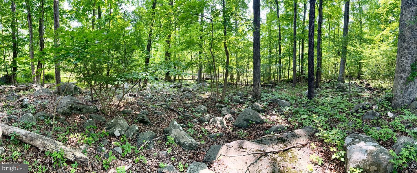 1142 Apple Rd Property Photo 22