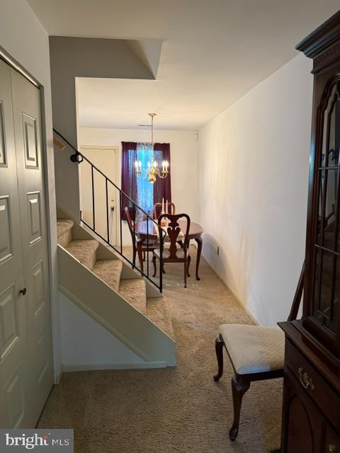 4826 Oxford Ct Property Photo 5