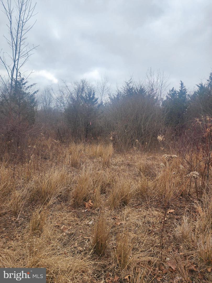 0 Limekiln Pike Property Photo 1