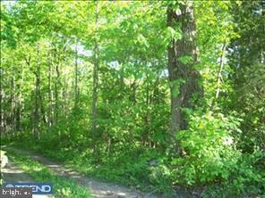 0 Tammany Rd Property Photo 1