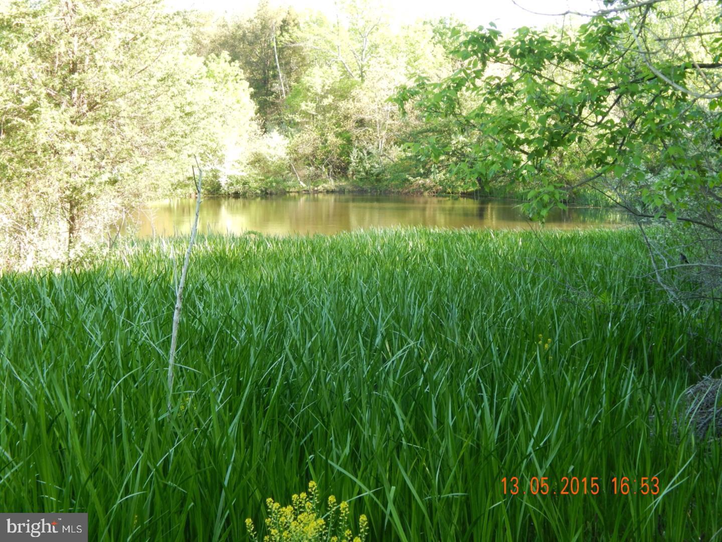 295 E Dark Hollow Rd Property Photo 2