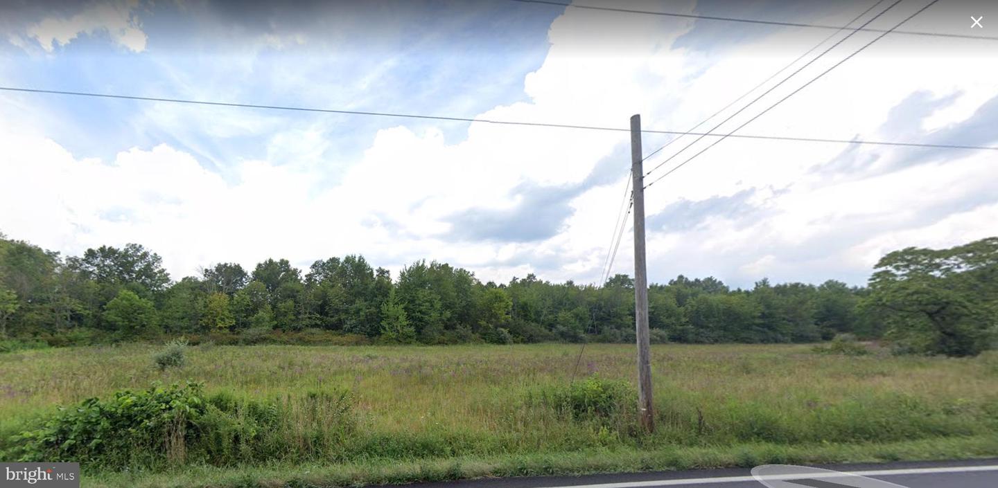 5403 Stump Property Photo 4