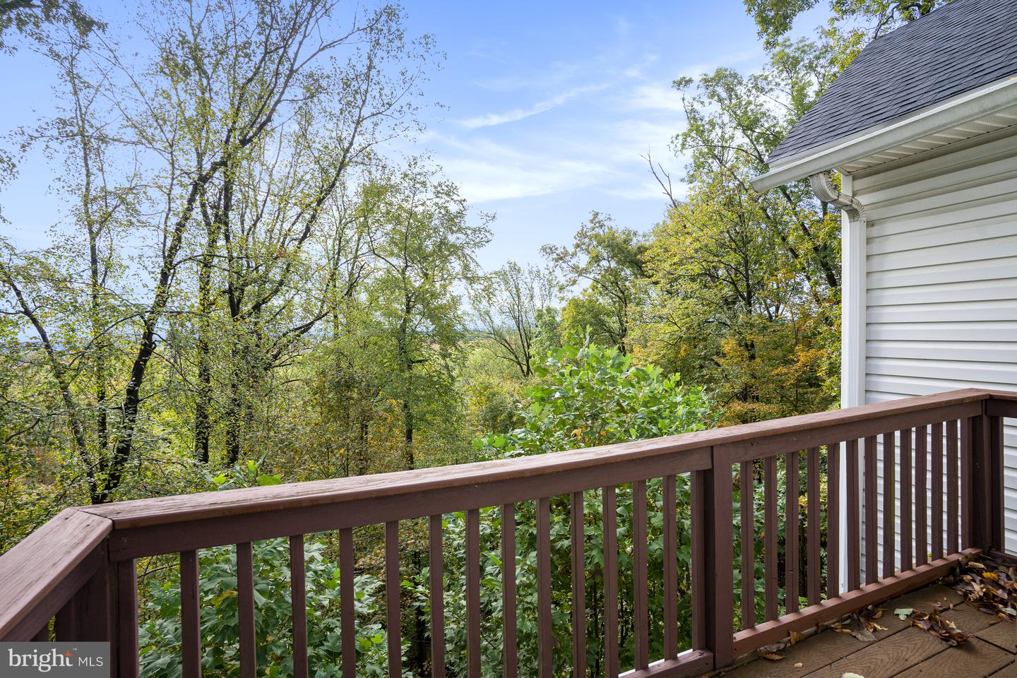 520 Johanna Property Photo 57