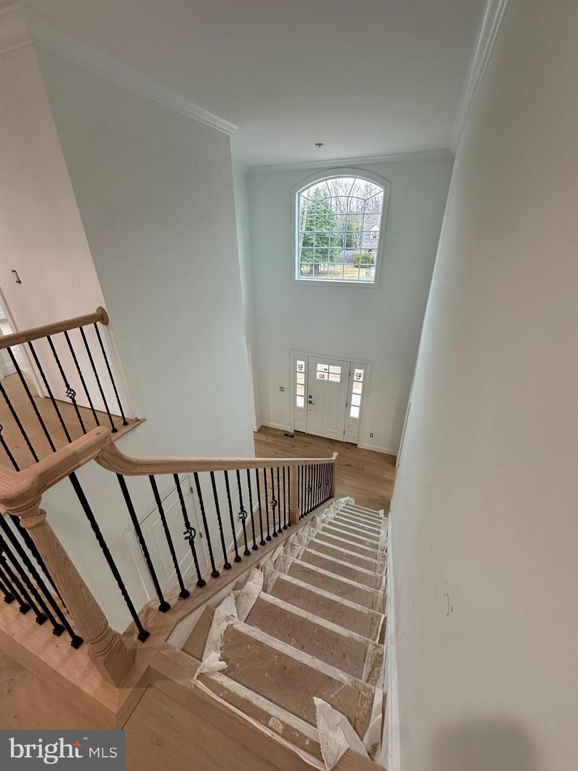 43 Davisville Rd Property Photo 12