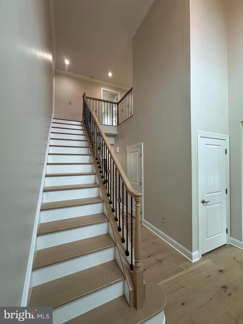 43 Davisville Rd Property Photo 23