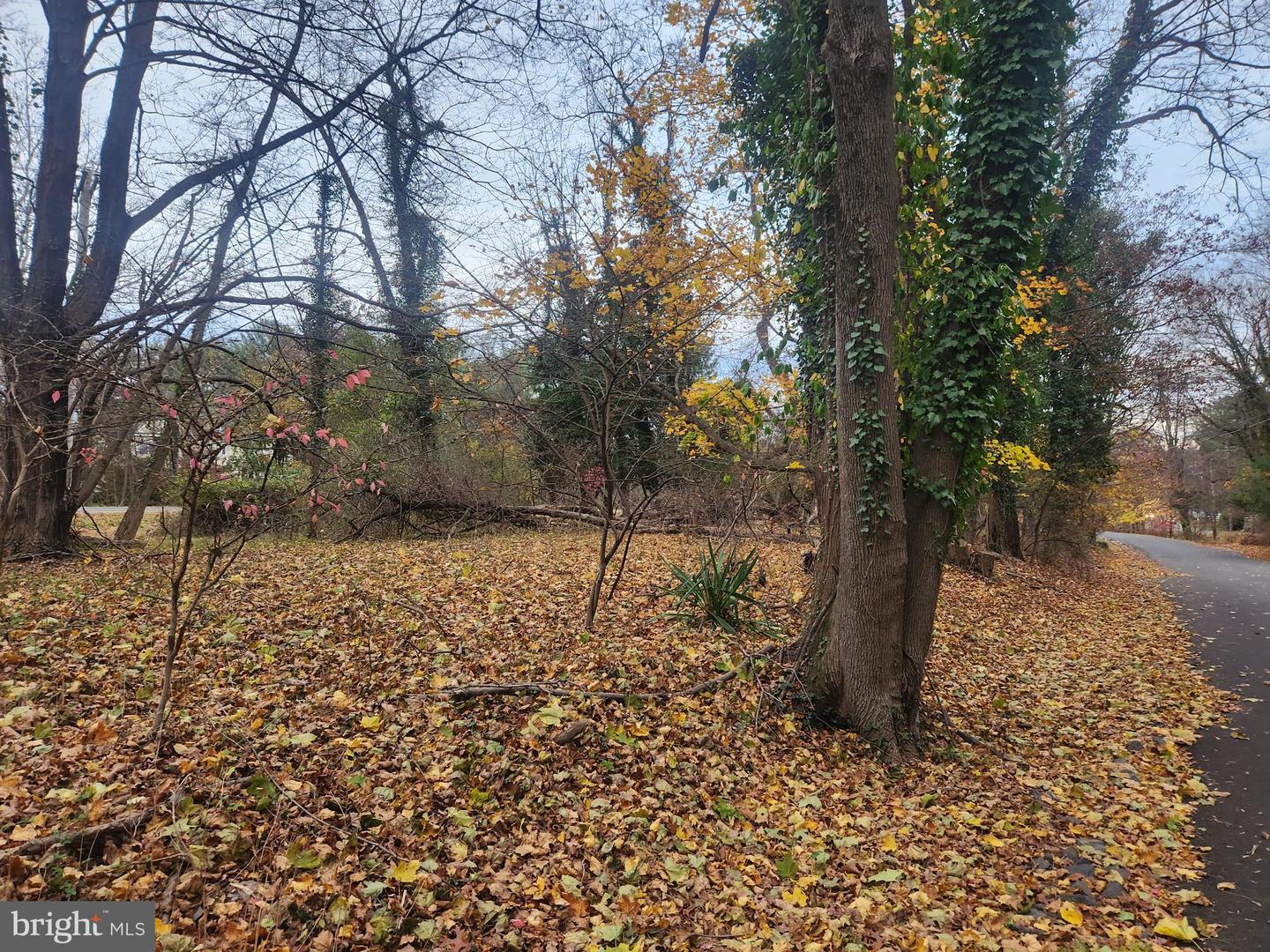 000 Cherry Ln Property Photo 1