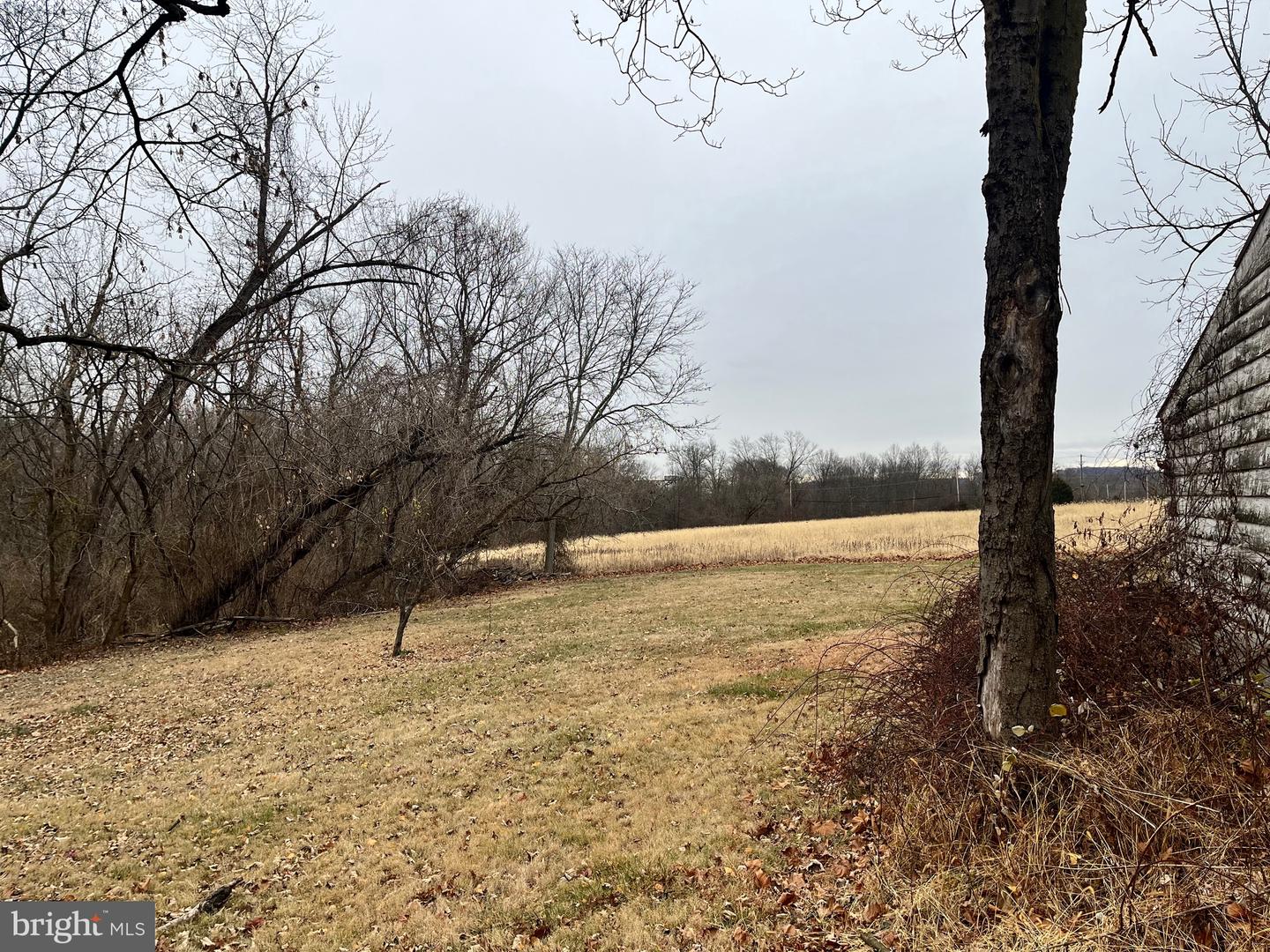 4595 County Line Rd Property Photo 1