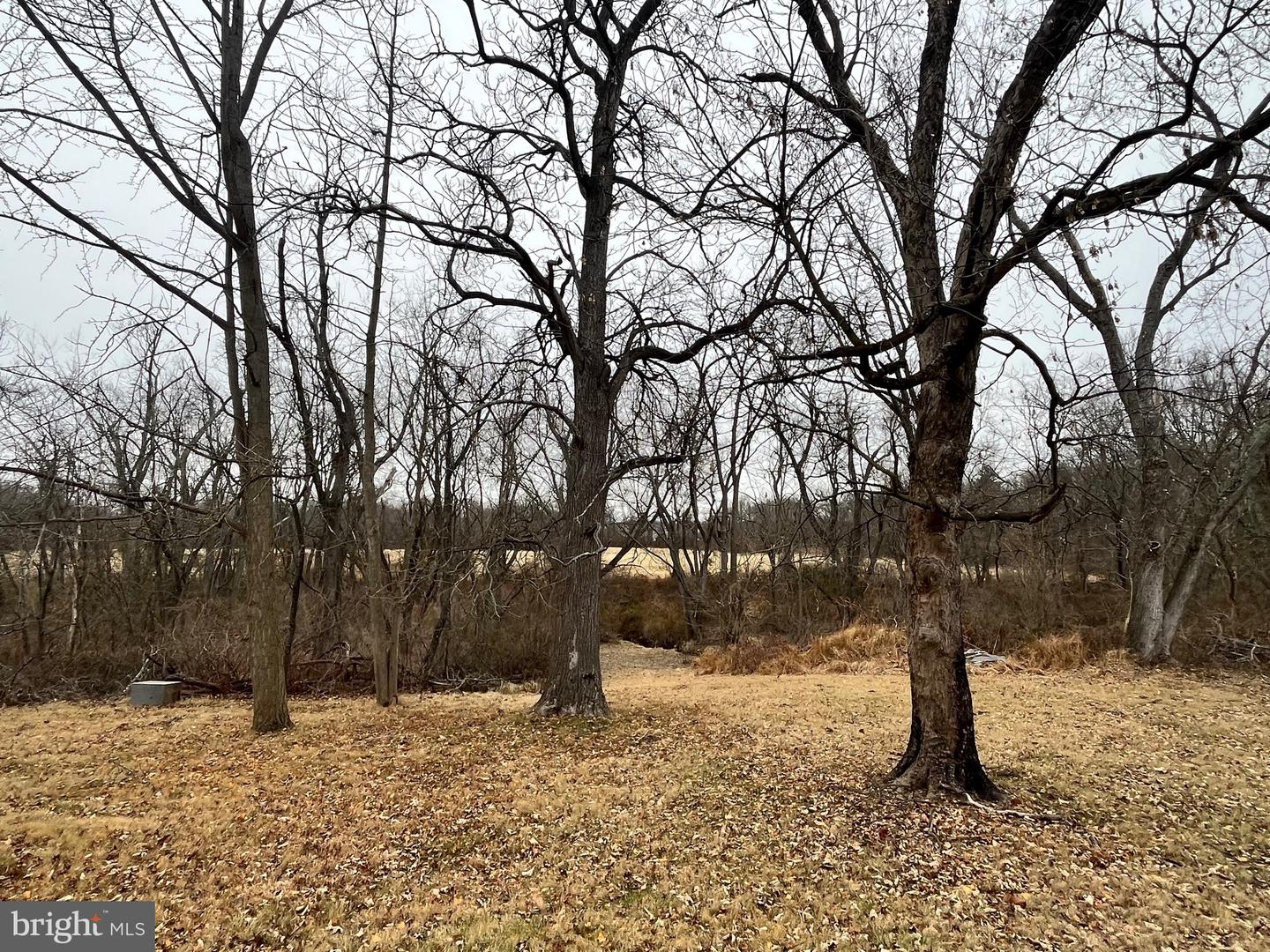4595 County Line Rd Property Photo 9