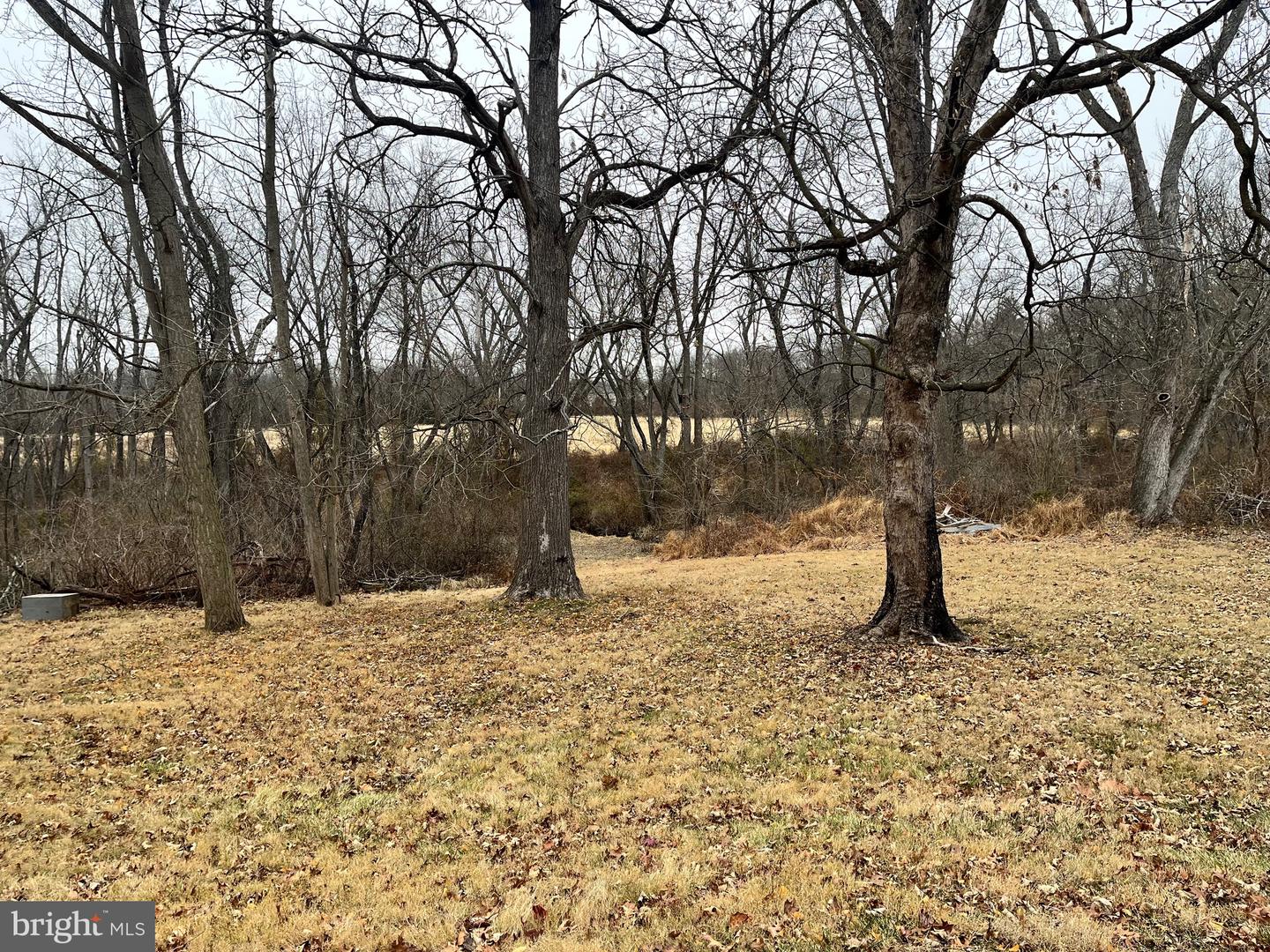 4595 County Line Rd Property Photo 10