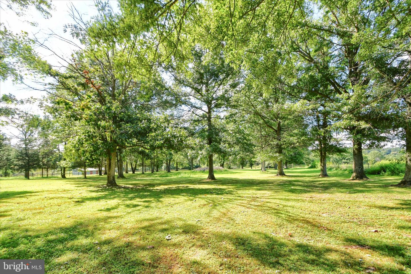 1010 Sweetbriar Rd Property Photo 51