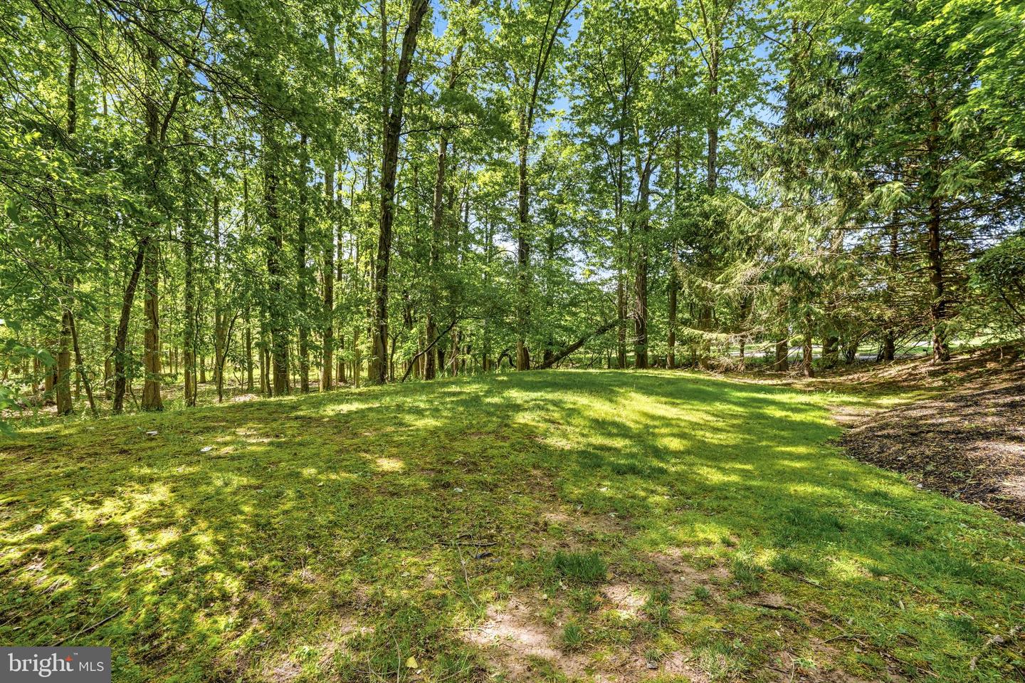 7 Mercer Gate Dr Property Photo 38