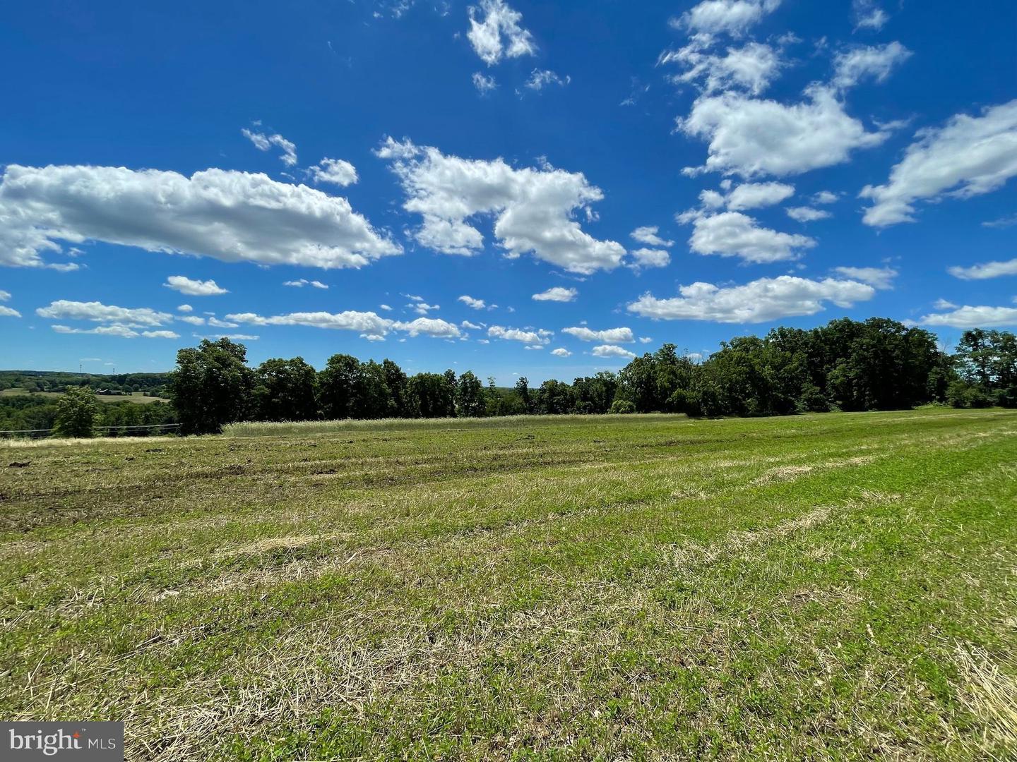 Lot 1 Curly Hill Rd Property Photo 23