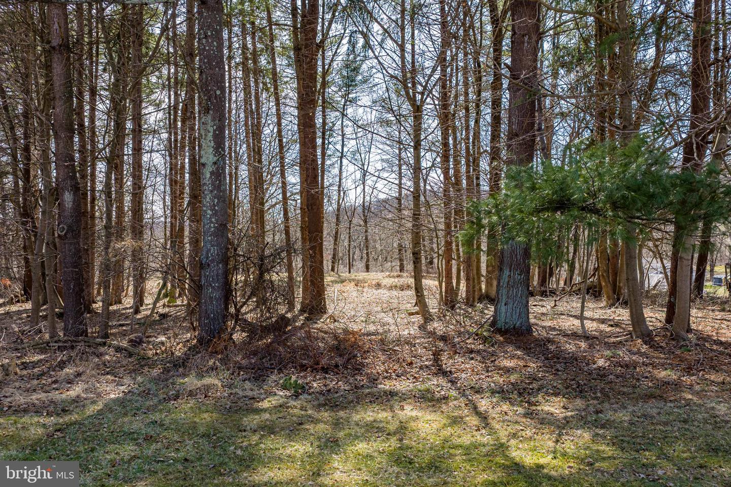 3258 Route #412 Property Photo 72