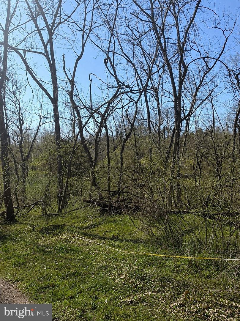 0 Harmony Ln Property Photo 2