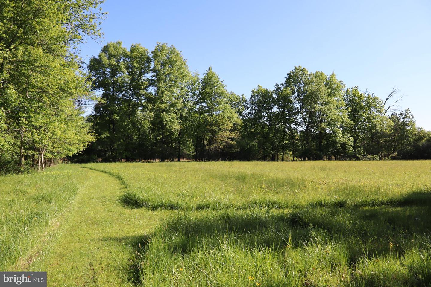 1583 Chestnut Ridge Rd Property Photo 1