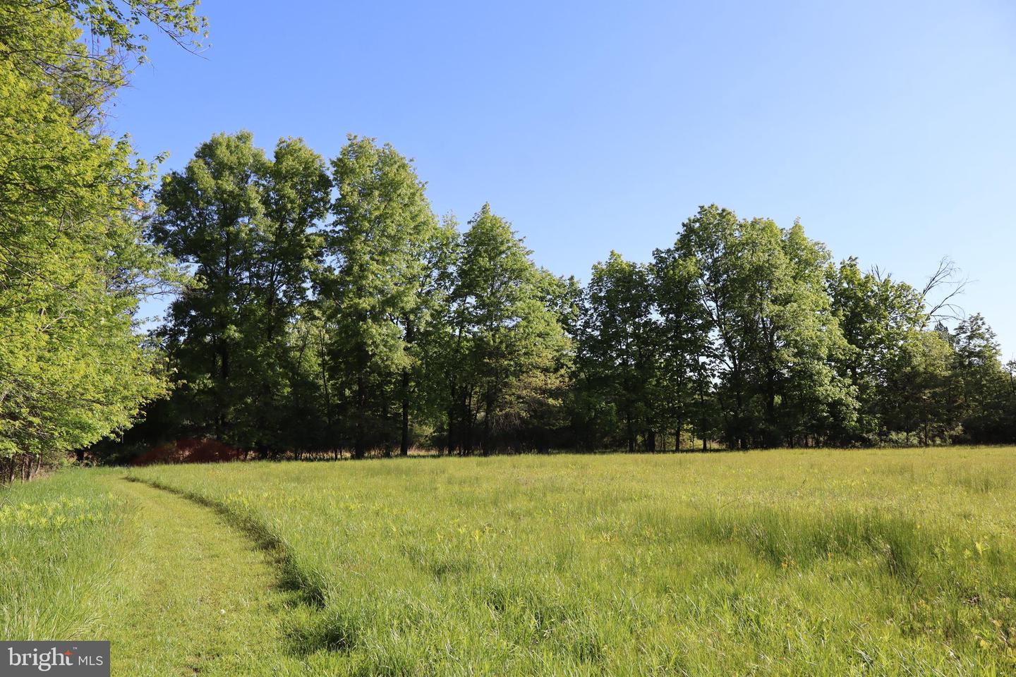 1583 Chestnut Ridge Rd Property Photo 2