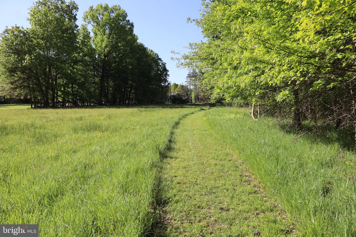 1583 Chestnut Ridge Rd Property Photo 3