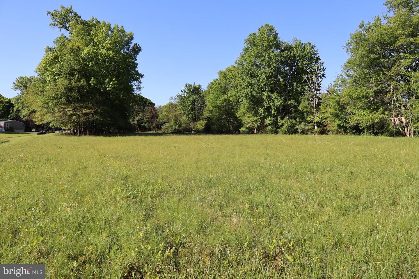 1583 Chestnut Ridge Rd Property Photo 6