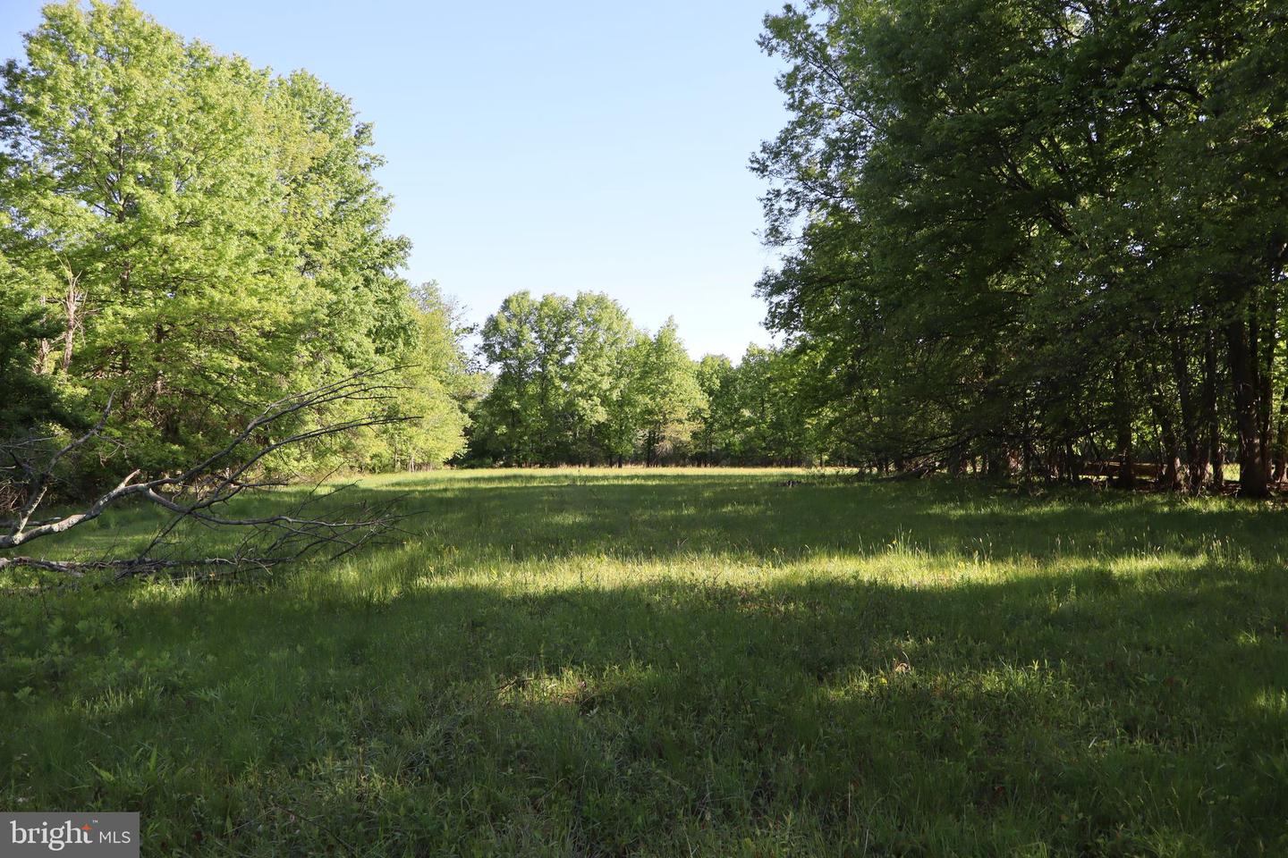1583 Chestnut Ridge Rd Property Photo 7