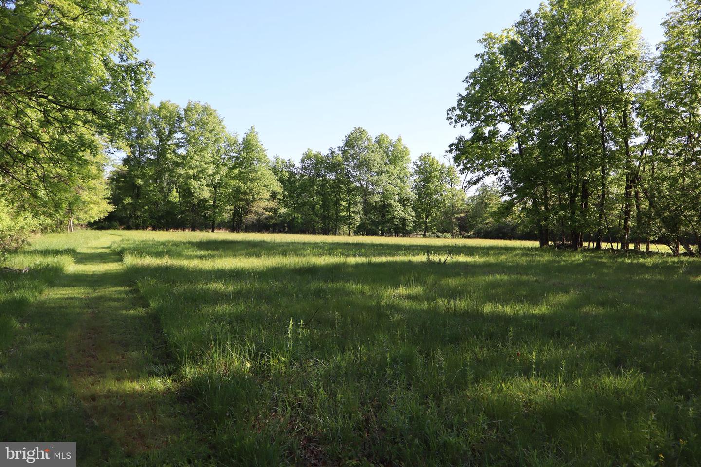 1583 Chestnut Ridge Rd Property Photo 8