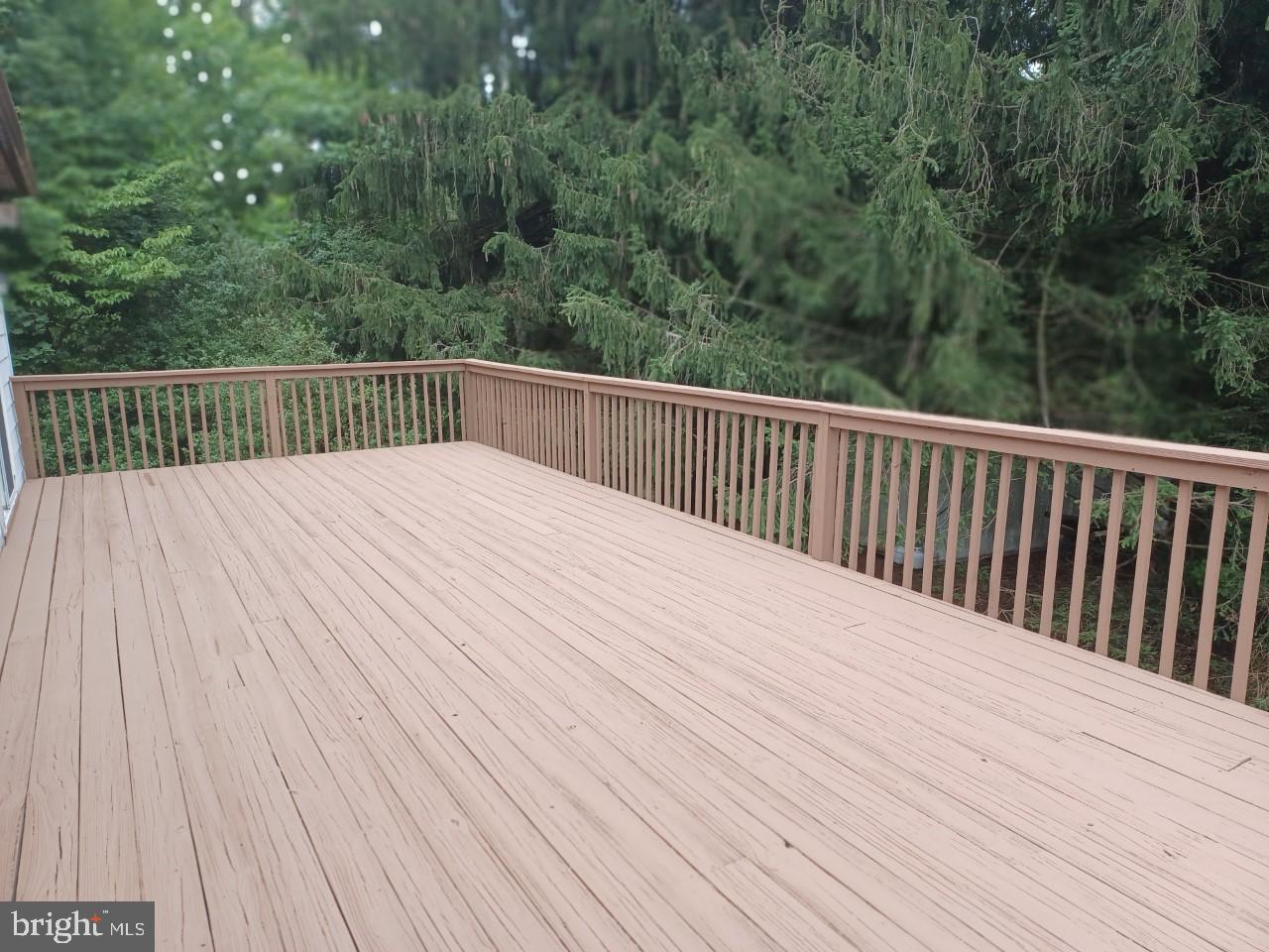 1525 Yardley Newtown Rd #apt. 1 (rear) Property Photo 14