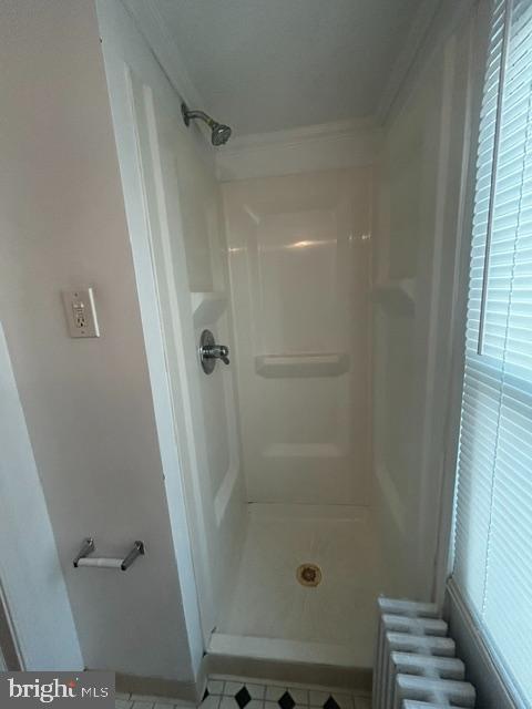 746 Cheston Ave Property Photo 17