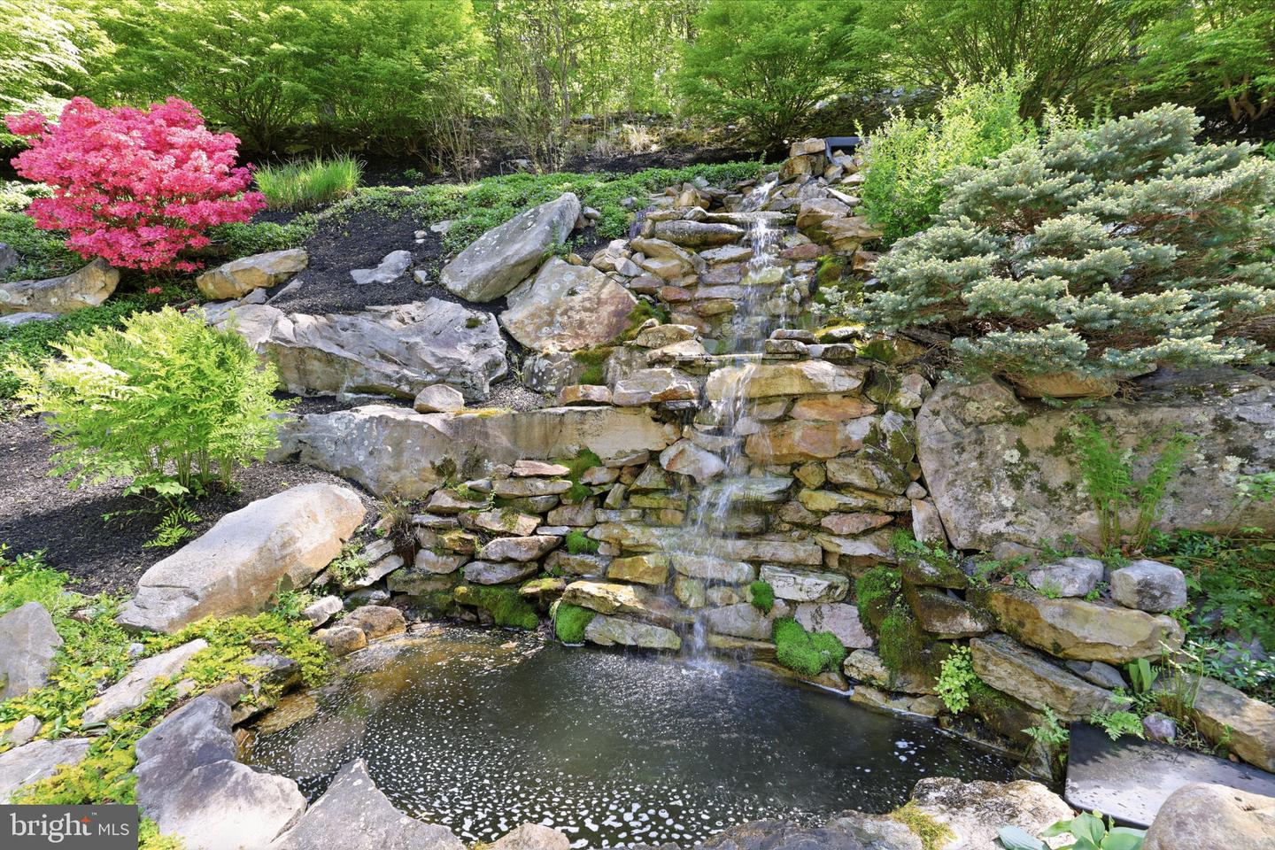 4757 Upper Mountain Rd Property Photo 51
