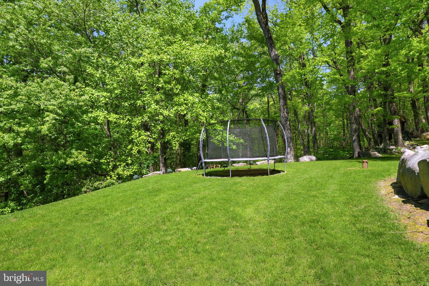 4757 Upper Mountain Rd Property Photo 56